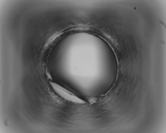 X0000097971448200804141040