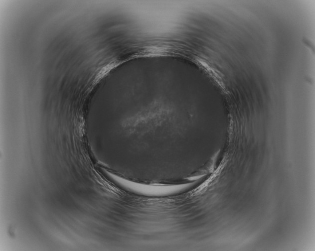 X0000097971449200804141040