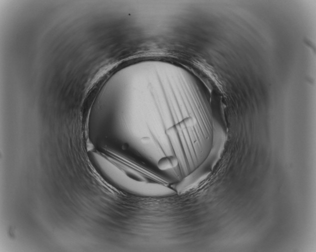 X0000097971452200804141040