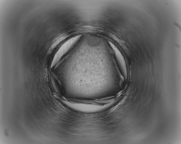 X0000097971453200804141040