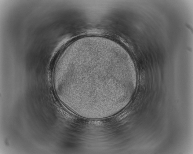 X0000097971454200804141040