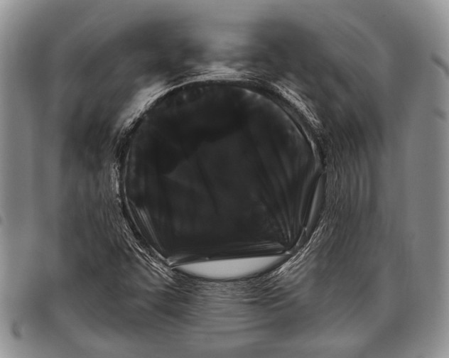 X0000097971455200804141040