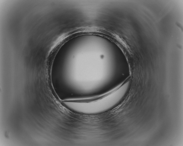 X0000097971456200804141040