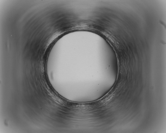 X0000097971458200804141040