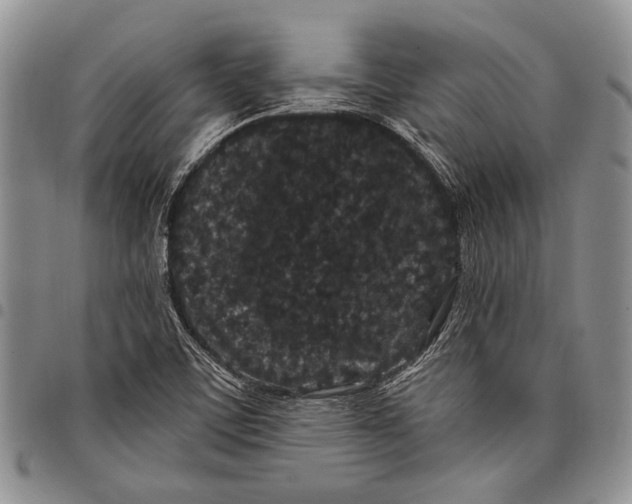 X0000097971459200804141040