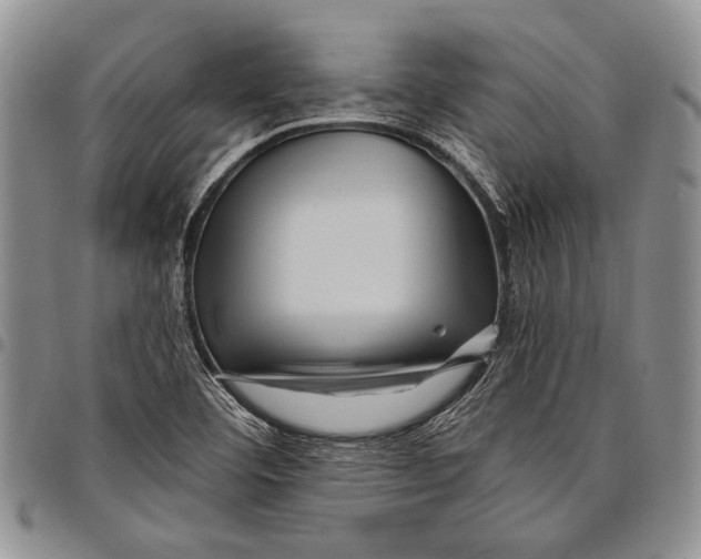 X0000097971460200804141040