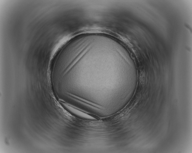 X0000097971464200804141040