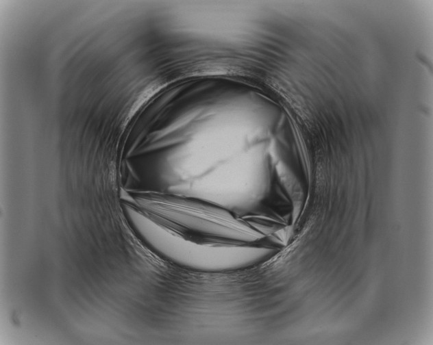 X0000097971465200804141040