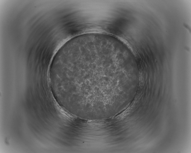 X0000097971466200804141040
