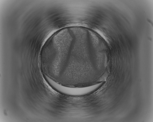 X0000097971468200804141040