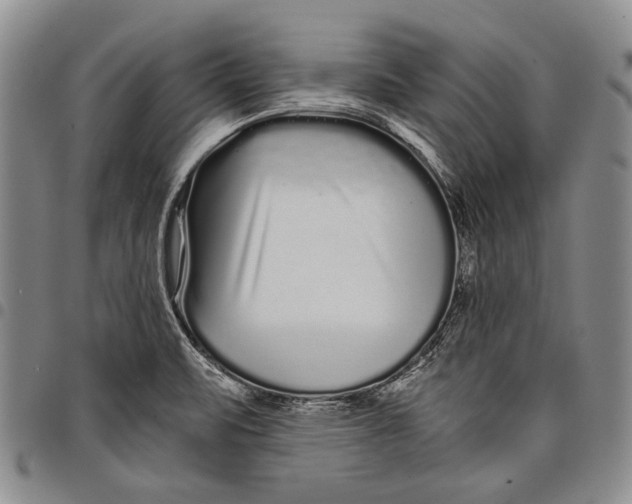 X0000097971471200804141040