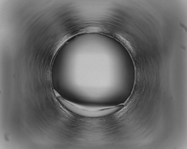 X0000097971473200804141040