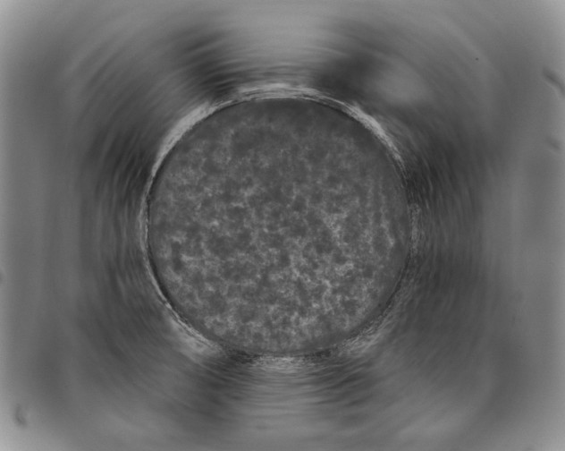 X0000097971474200804141040