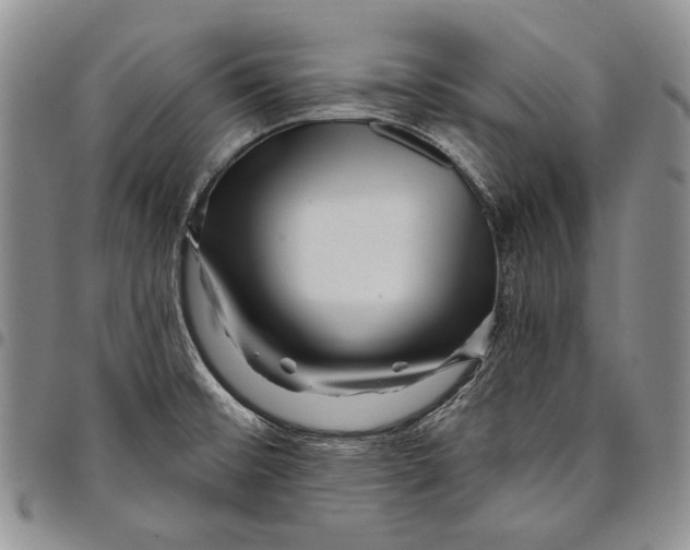 X0000097971476200804141040