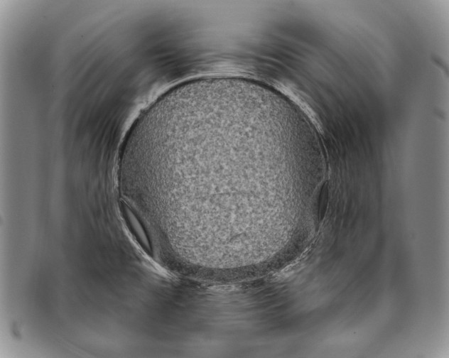 X0000097971477200804141040
