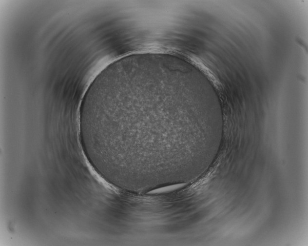 X0000097971479200804141040