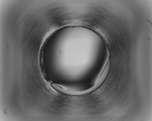 X0000097971480200804141040