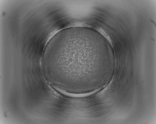 X0000097971481200804141040