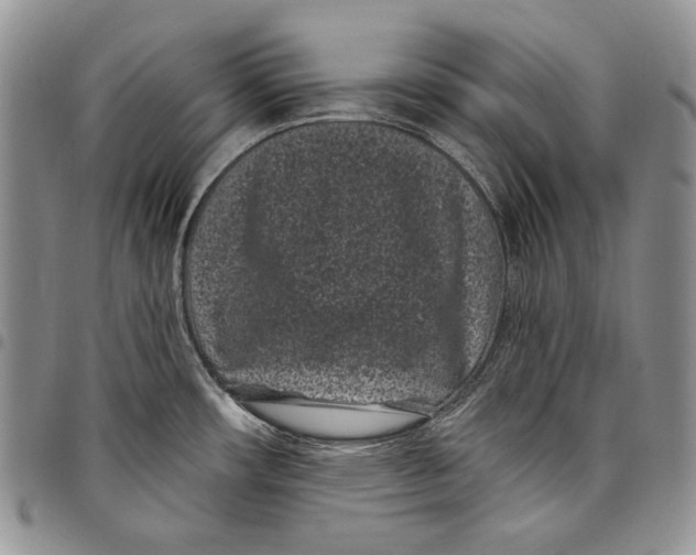 X0000097971482200804141040