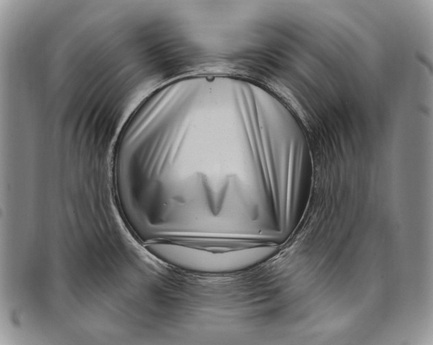 X0000097971483200804141039