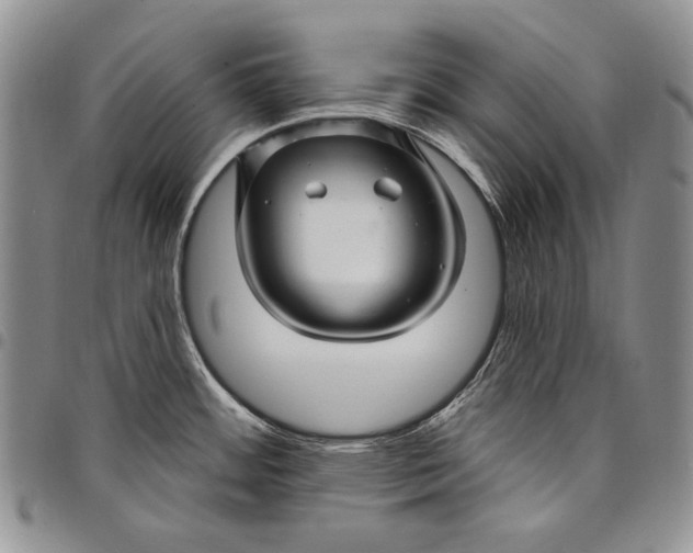X0000097971484200804141039