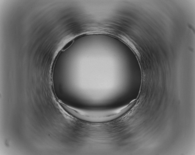 X0000097971485200804141039