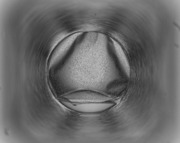 X0000097971487200804141039
