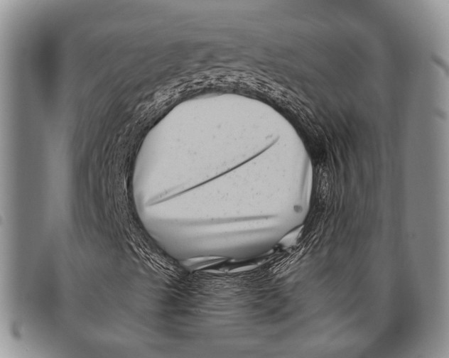 X0000097971489200804141039