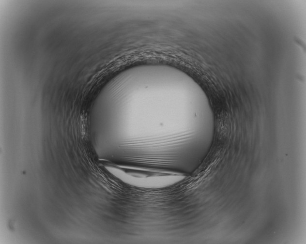 X0000097971490200804141039