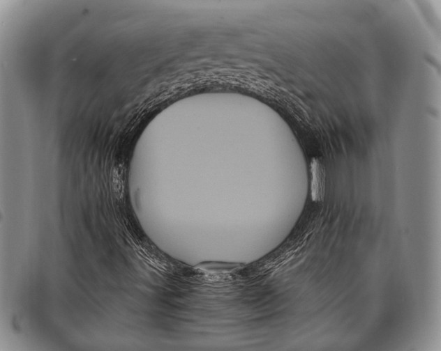X0000097971491200804141039
