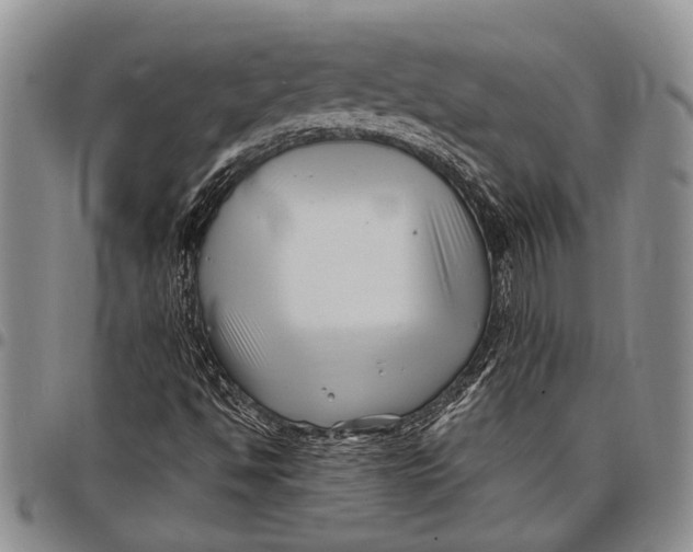 X0000097971494200804141039