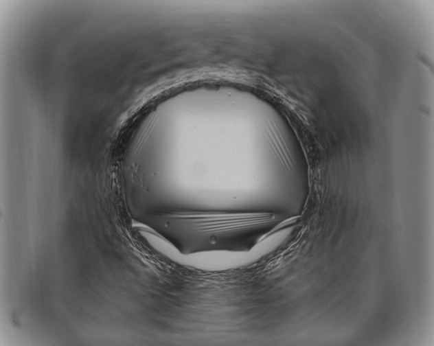 X0000097971496200804141039