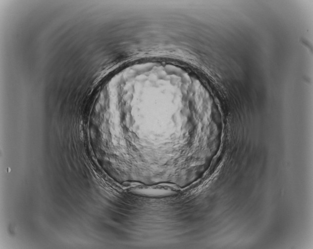 X0000097971497200804141039