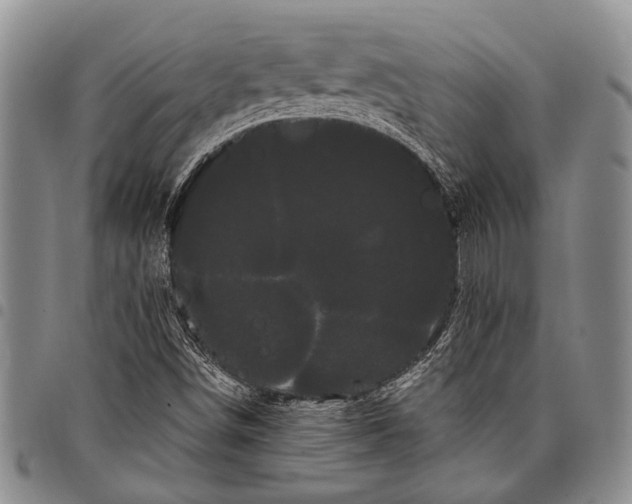 X0000097971498200804141039