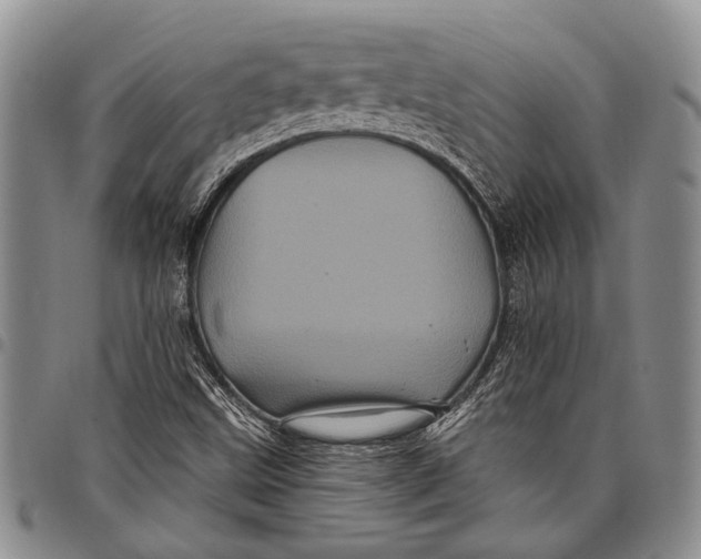 X0000097971499200804141039