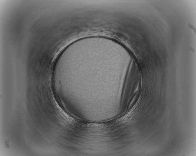 X0000097971500200804141039