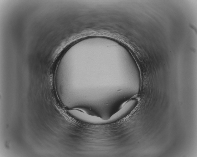 X0000097971503200804141039