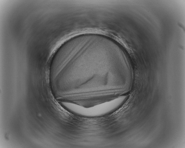 X0000097971504200804141039