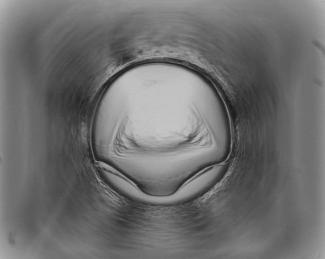 X0000097971505200804141039