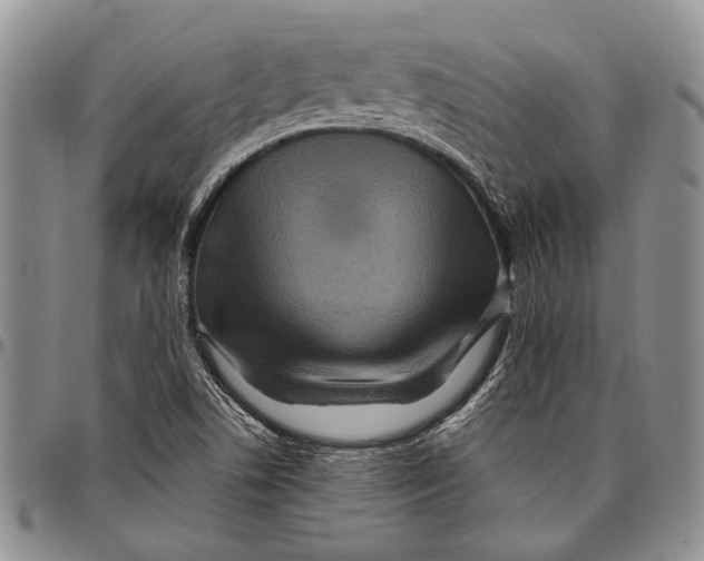 X0000097971506200804141039