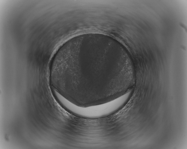 X0000097971508200804141039
