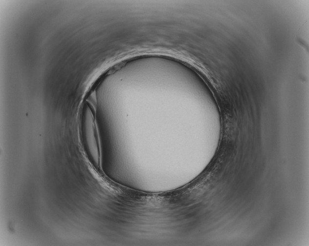X0000097971511200804141039