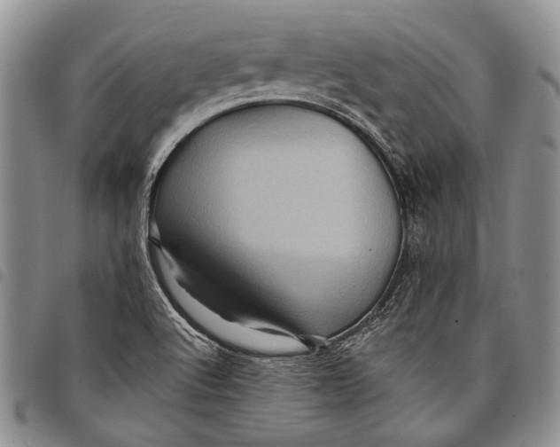 X0000097971512200804141039