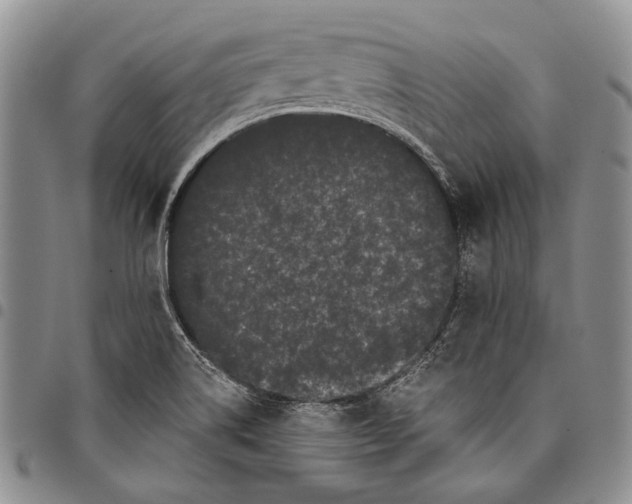 X0000097971514200804141039