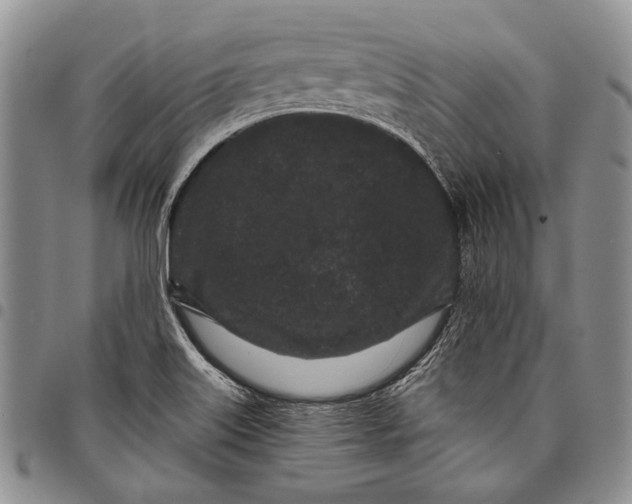 X0000097971515200804141039