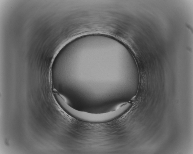 X0000097971516200804141039