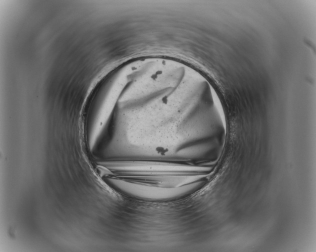 X0000097971517200804141039
