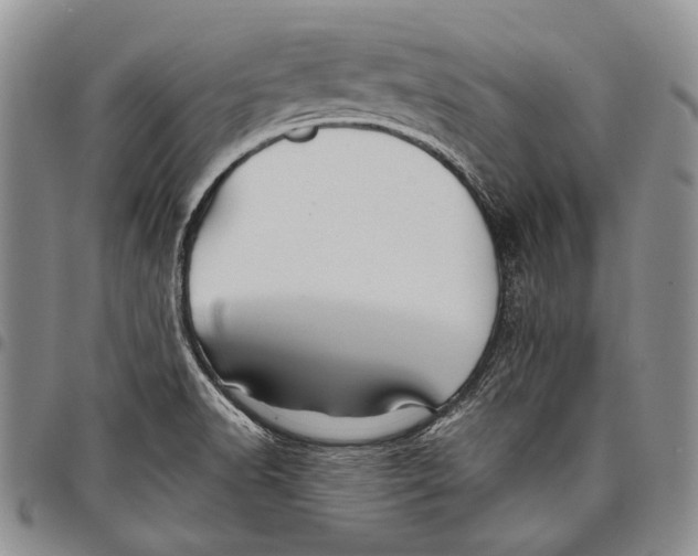 X0000097971518200804141039