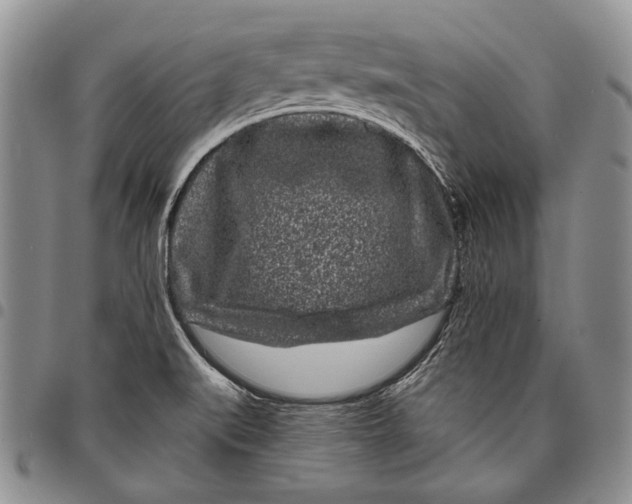 X0000097971519200804141039