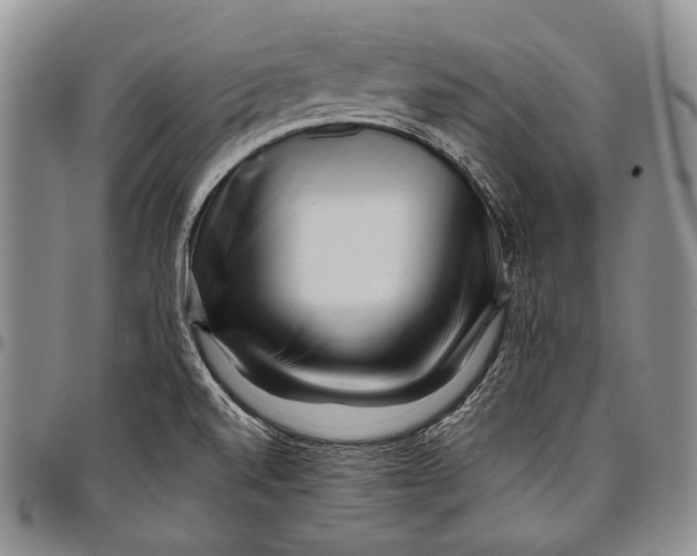 X0000097971520200804141039